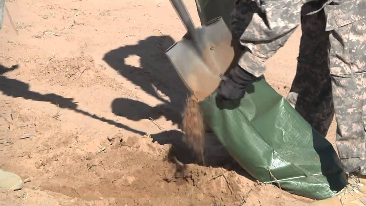 Network Integration Evaluation 13.1 Setup