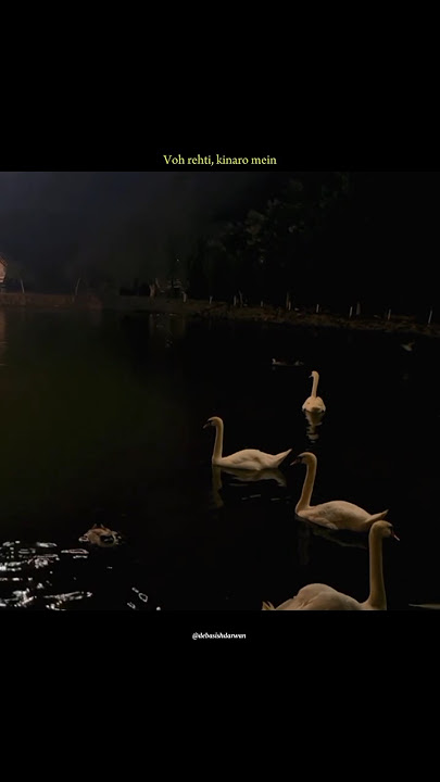 Rani jhukti nahi hai ✨️~ (lyrics) #aestheic #lyrics #trending #music