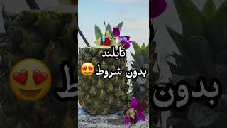 شروط دخول تايلند الجديدة 2023 م @rayaheen33