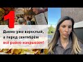 ОСЕННЯЯ ДЕПРЕССИЯ/Почему люди расстаются осенью/Сепарационная тревога/Психология