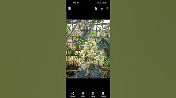 lmc 8.4 R15 Best Color Boost Config #gcam #lmc8.4 #subscribe For More #shorts #short