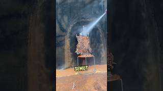 This is how the ant nest works