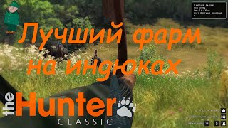 : theHunter Classic.    .