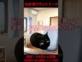 [猫]実話！猫で学ぶリボ払いの恐怖[猫ミーム]#shorts