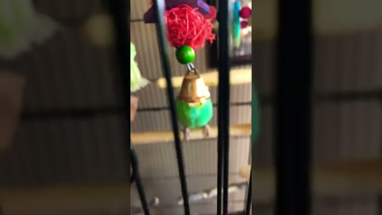 Pls let me know how to get this stain out