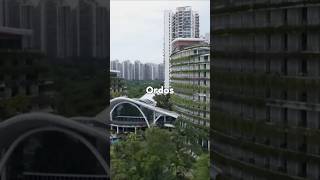 The World’s Largest Ghost City (And Why Nobody Came) #shorts