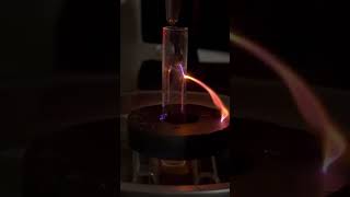 RAV in magnet