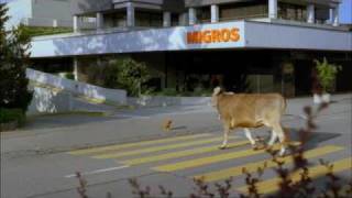 Jung Von Matt/Limmat: Migros Frische The Return Of The Chicken