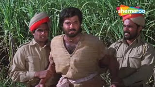 ये कानूनी लूटेरे हैं..! | Amba (1990) (HD) | Anil Kapoor, Meenakshi Seshadri, Shabana Azmi