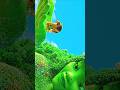 Moana || Disney || cartoon animation #moana #moana2 #disney#shorts #shortvideo