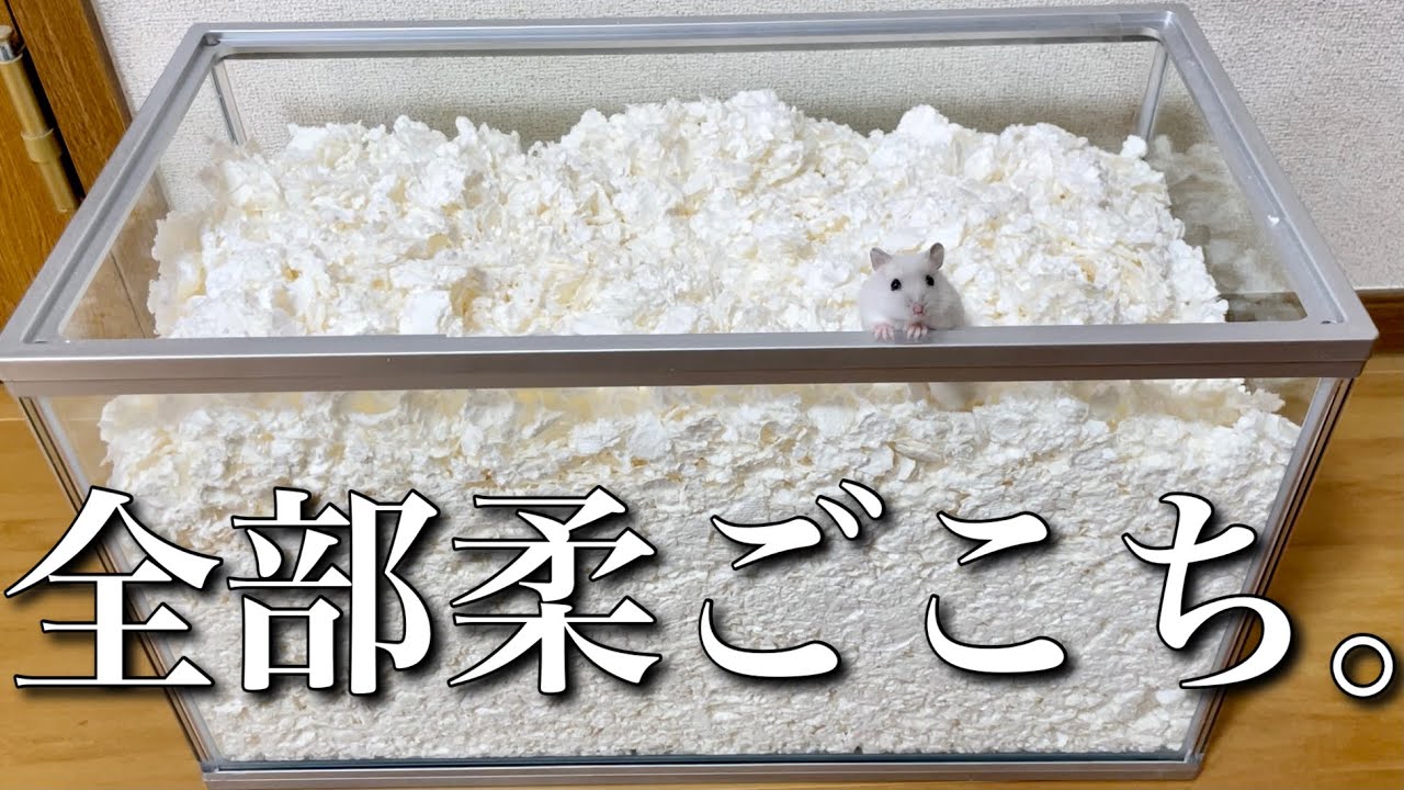 大容量柔ごこち他 ハムスター等小動物用 GEX（ジェックス） 柔ごこち