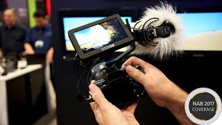 SmallHD FOCUS - 5