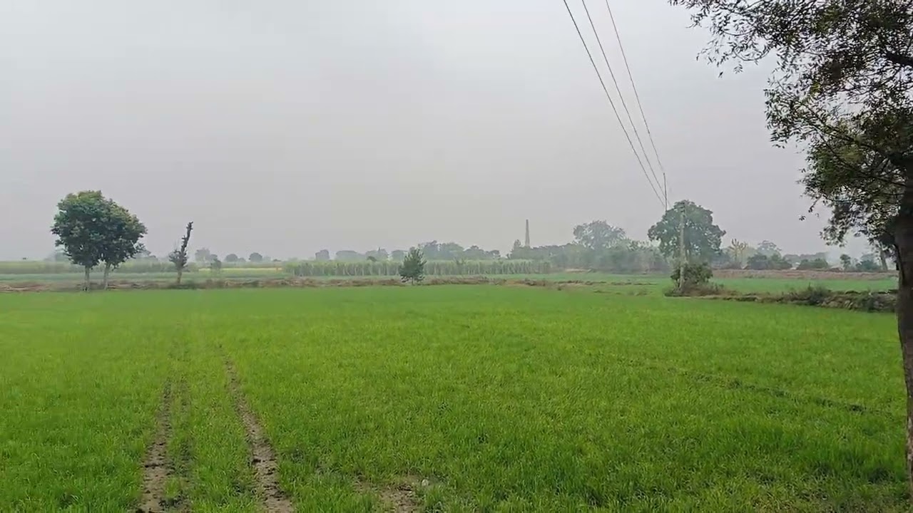 Peaceful Village Morning | Simple Living