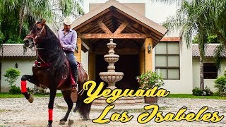 🐴 YEGUADA LAS ISABELES [Criadero de Caballos Españoles]