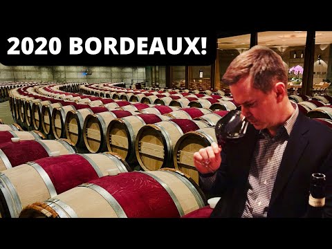 WINE COLLECTING: BORDEAUX 2020 VINTAGE ANALYSIS (4 Attorney Somm Recommendations)