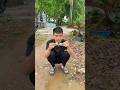 Goldfish swimming in a tank of water #hoaky #xuhuongyoutube #viralvideo