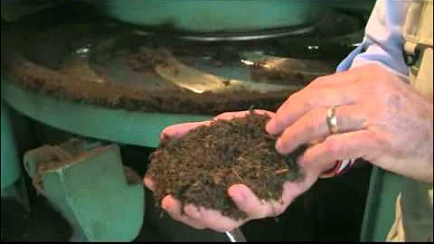 4 - Orthodox Manufacture.mp4