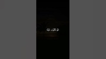 قران كريم بصوت جميل جدا #اكسبلور #قران_كريم #ترند #تلاوة_خاشعة