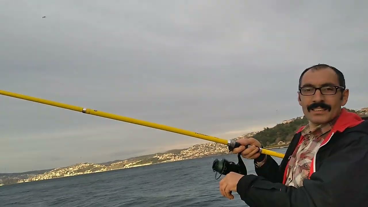 okuma makaira kısa bir çinokop avı