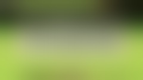 MP Weekend Archive | Fibbage 3 (Part 1)