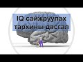 IQ сайжруулах тархины дасгал