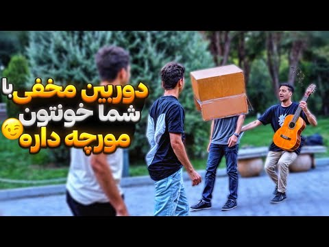 دوربین مخفی با شما خونتون مورچه داره😉