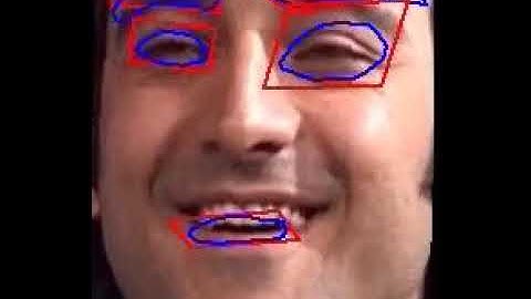 facial feature tracking