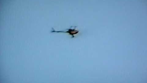 TREX 600 Loops and Rolls