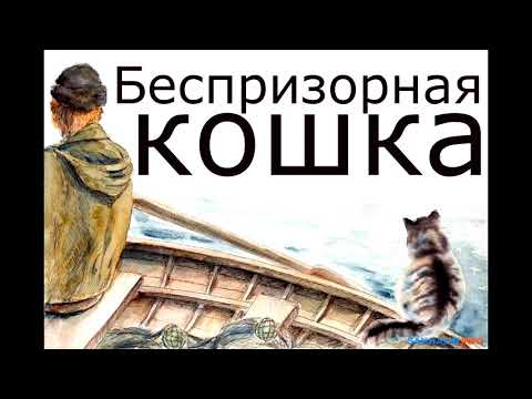 Аудиокнига. Беспризорная кошка. Б Житков