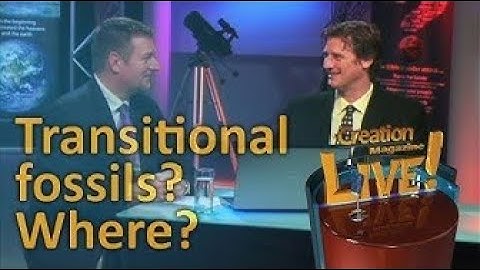 Transitional Fossils - Where?