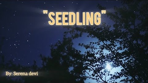 Seedling ■ A Spoken Poem of Faith, Truth and Becoming