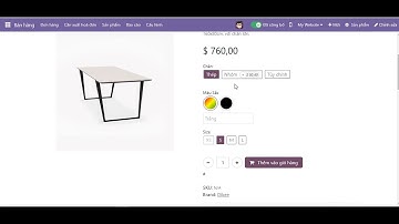 Các Biến thể sản phẩm áp dụng và tùy chỉnh Odoo v17