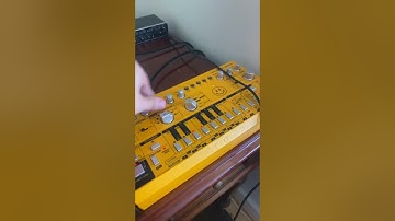 Just some good old acid house fun with Roland TR8 & TR8s, Behringer TD3, Akai MPC