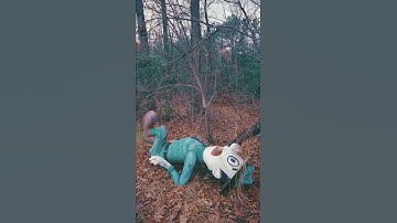Thumbnail of The Yogi Bear Graveyard 😨