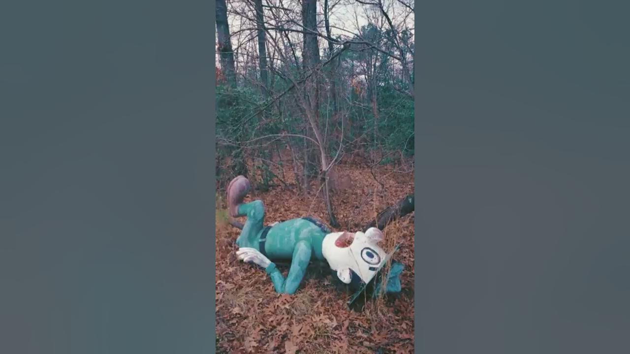 The Yogi Bear Graveyard 😨