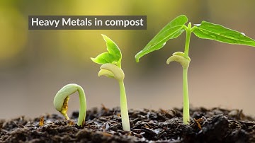 Trichoderma Fungi & Heavy Metal Poisoning