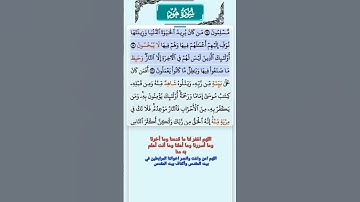 سورة هود الآية 15 - 16 فارس عباد قرآن 648