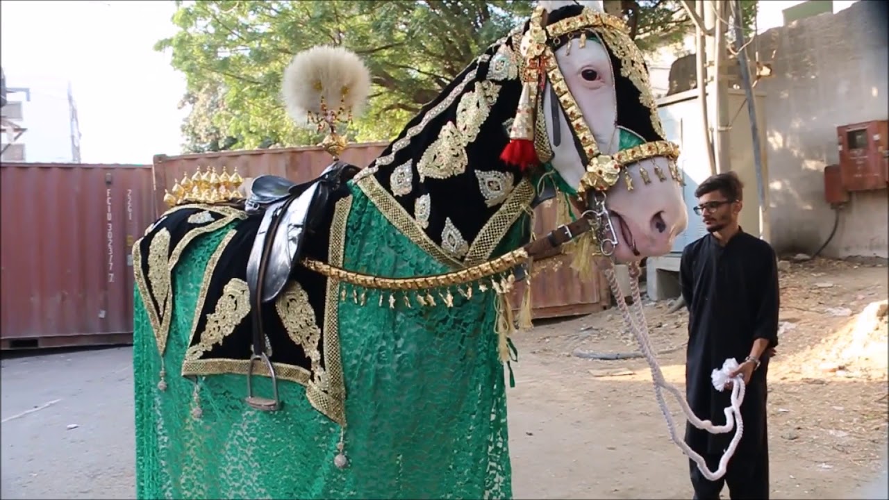 Zuljanah in Pakistan Beautyfull Horse PanjtanTV YouTube