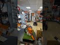 Бензопила Stihl MS 250