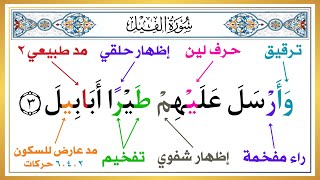 حلقة جديدة ( تعلم كيف تقرأ سورة الفيل بأحكام التجويد ) الطريقة الصحيحة | علم طفلك القرآن صح