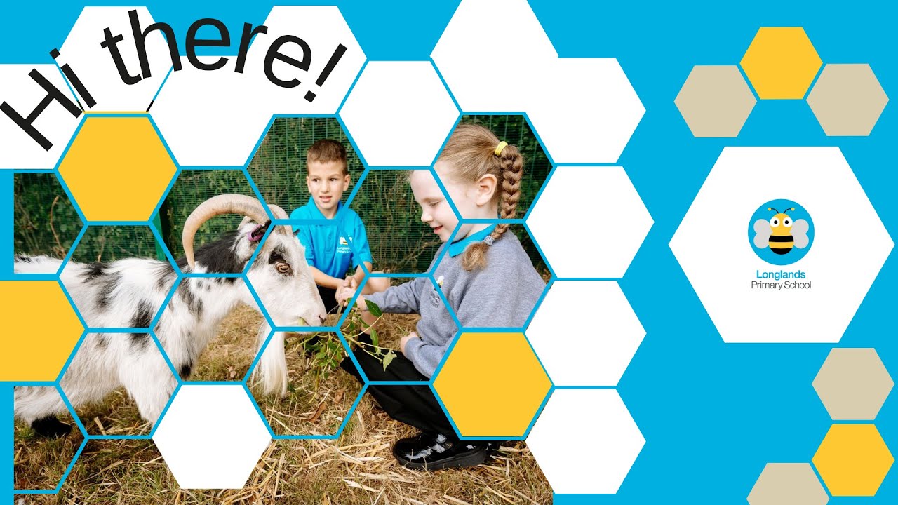 Longlands Primary School and Nursery | Ofsted Results