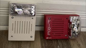 I’m Back Review Simplex 4906 and 4903