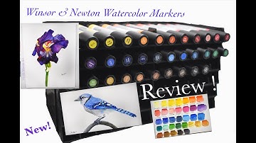 NEW ! Winsor & Newton Promarker Watercolor Marker Review & Demo