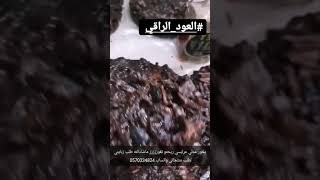 بخور عدني عرايسي ريحتو تفوززززز