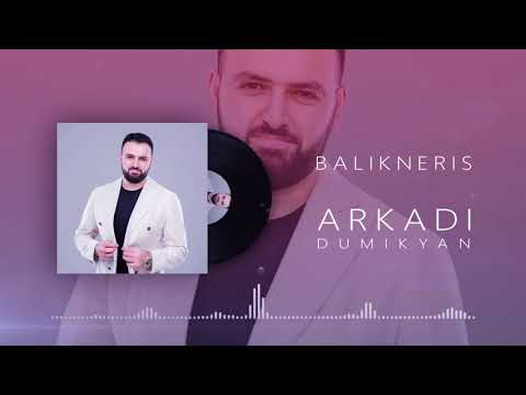 Arkadi Dumikyan - Balikneris