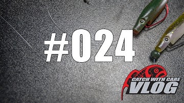 Texas & Carolina Rigs - CWC VLOG #024