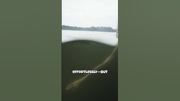 Could you swim in liquid mercury?