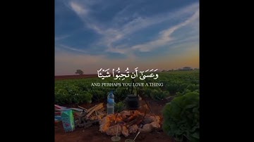 📖 تلاوة خاشعة تريح القلوب