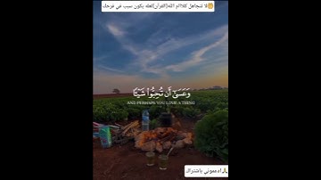 📖 تلاوة خاشعة تريح القلوب