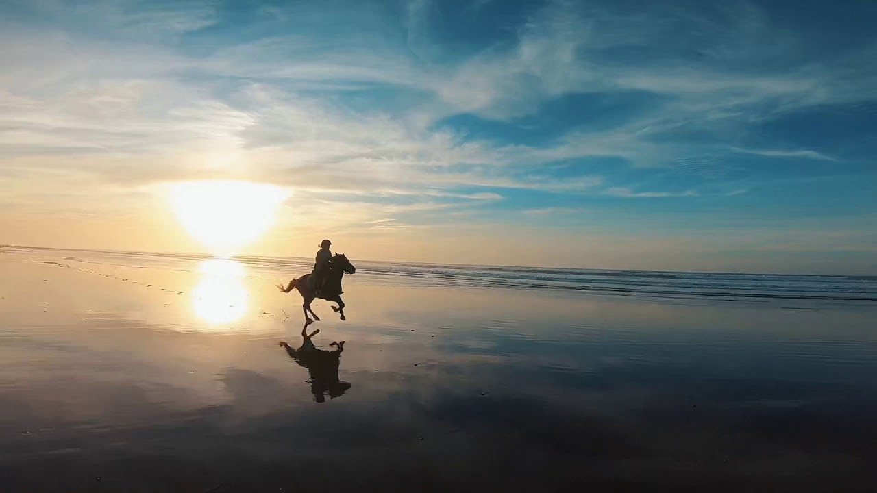 Galloping on Sunset Beach